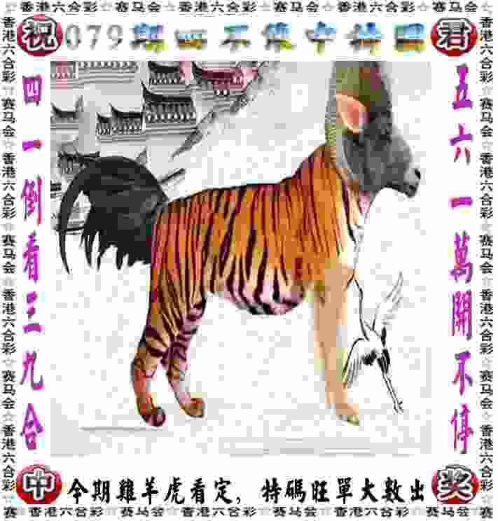 郑钦文因身体原因退出宁波网球公开赛